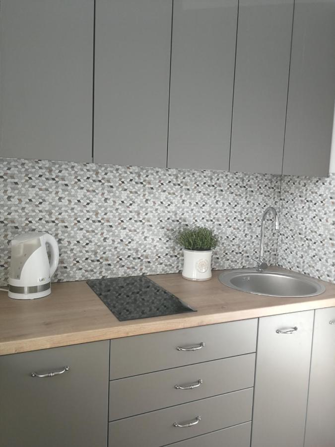 Central Apartments Nojus Druskininkai Luaran gambar