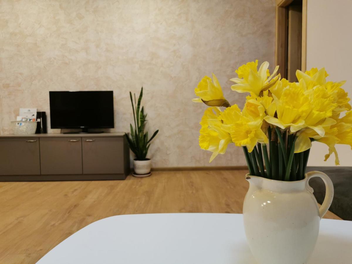 Central Apartments Nojus Druskininkai Luaran gambar