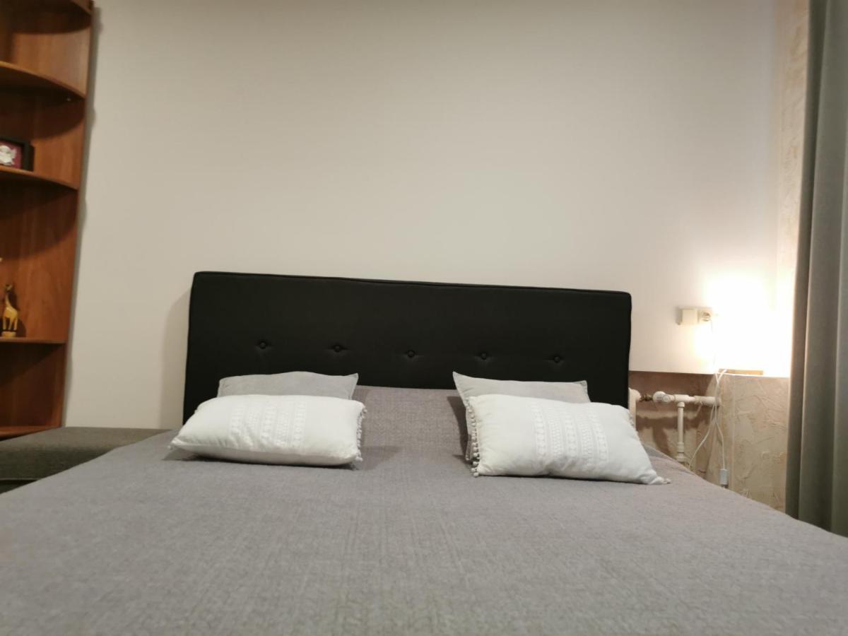 Central Apartments Nojus Druskininkai Luaran gambar